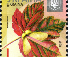 Марка White Maple, Україна 2012