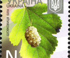 Марка White Mulberry (Morus Alba), Україна 2013