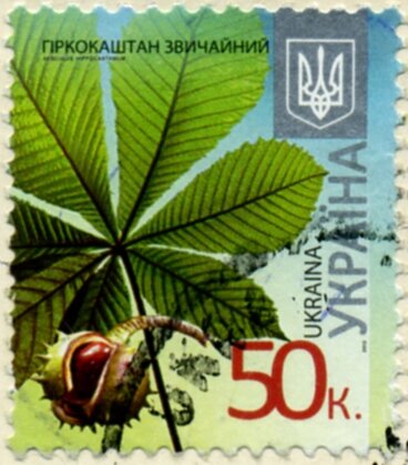 Марка Horse Chestnut (Aesculus hippocastanum), Україна 2013