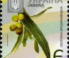 Марка Common Sea-buckthorn (Hippophae rhamnoides), Україна 2013