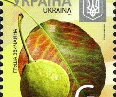 Марка Pear (Pyrus communis), Україна 2013