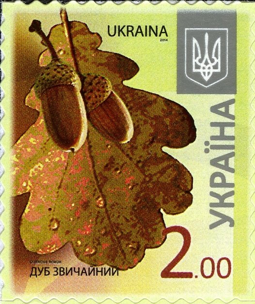Марка Дуб черешчастий (Quercus robur), Україна 2014