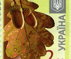Марка Дуб черешчастий (Quercus robur), Україна 2014