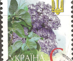 Марка бузок, Україна 2003