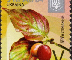 Марка Cornelian Cherry (Cornus mas), Україна 2015