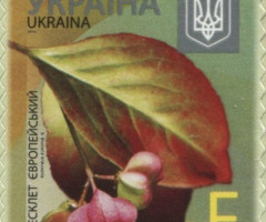 Марка European Spindle (Euonymus europaeus), Україна 2015