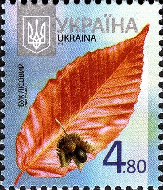 Марка Beech (Fagus sylvatica), Україна 2013