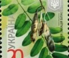 Марка Acacia (Robinia pseudoacacia), Україна 2013