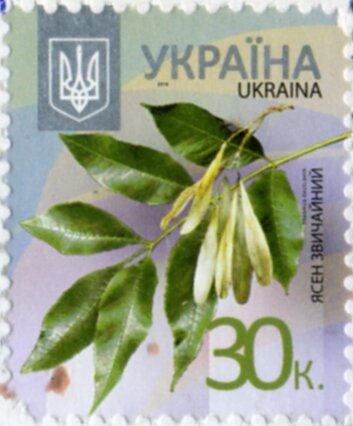 Марка European Ash (Fraxinus excelsior), Україна 2013
