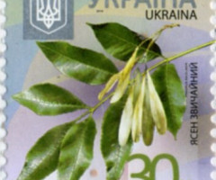 Марка European Ash (Fraxinus excelsior), Україна 2013