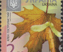 Марка Norway Maple (Acer platanoides), Україна 2013