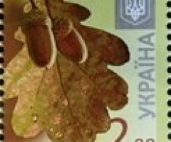 Марка Дуб черешчастий (Quercus robur), Україна 2013