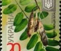 Марка Acacia (Robinia pseudoacacia), Україна 2014