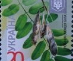 Марка Acacia (Robinia pseudoacacia), Україна 2016
