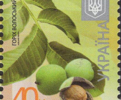 Марка Walnut (Juglans regia), Україна 2015