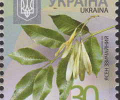 Марка European Ash (Fraxinus excelsior), Україна 2014