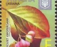 Марка European Spindle (Euonymus europaeus), Україна 2016