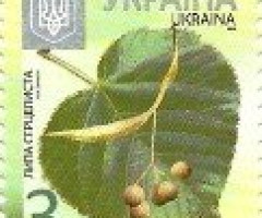 Марка Small Leaved Lime (Tilia cordata), Україна 2014