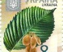 Марка European White Elm (Ulmus laevis), Україна 2014