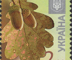 Марка Дуб черешчастий (Quercus robur), Україна 2016